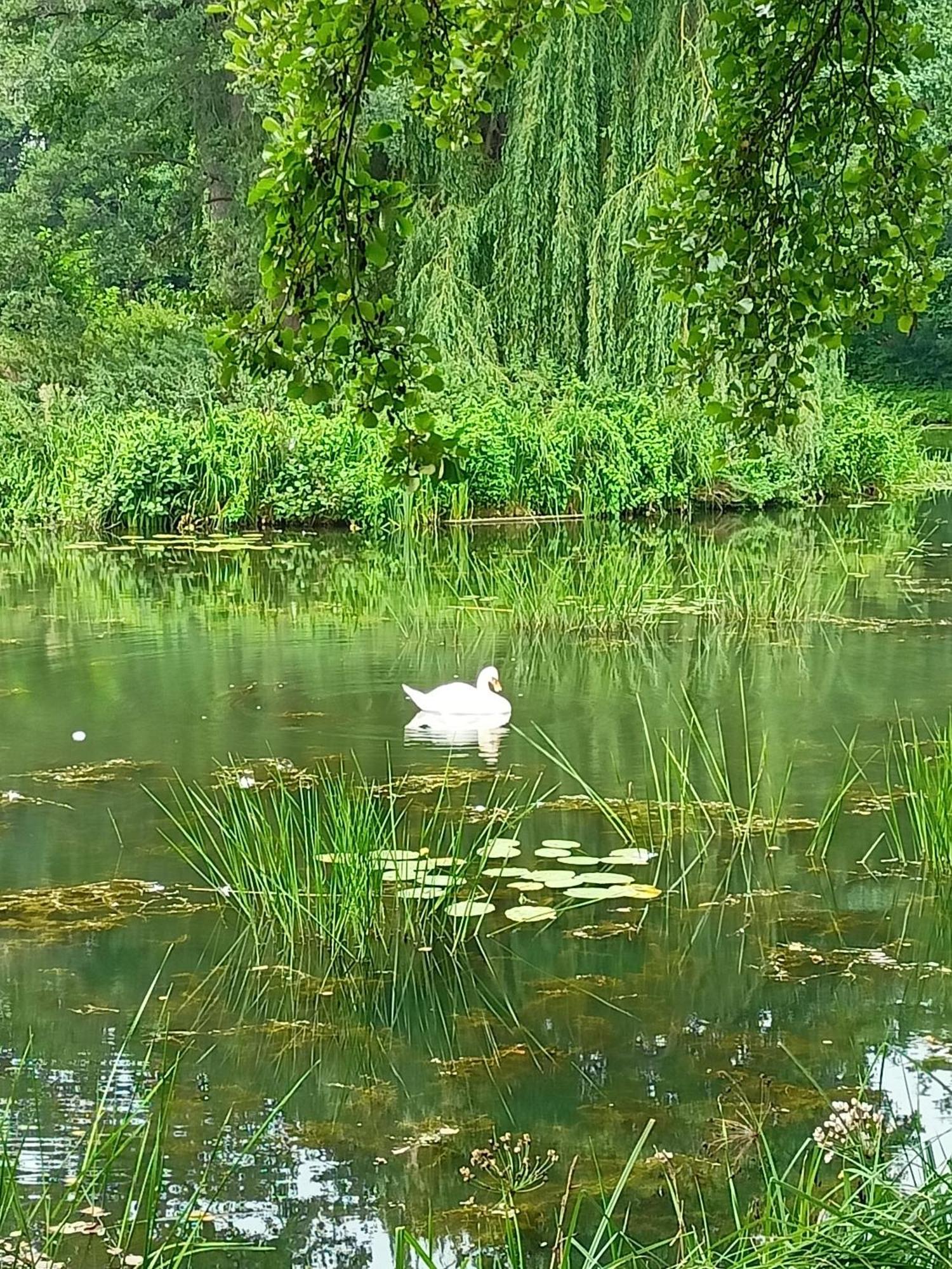,,Zielona Przystan Nad Morzem" Gdansk - Przymorze公寓 外观 照片