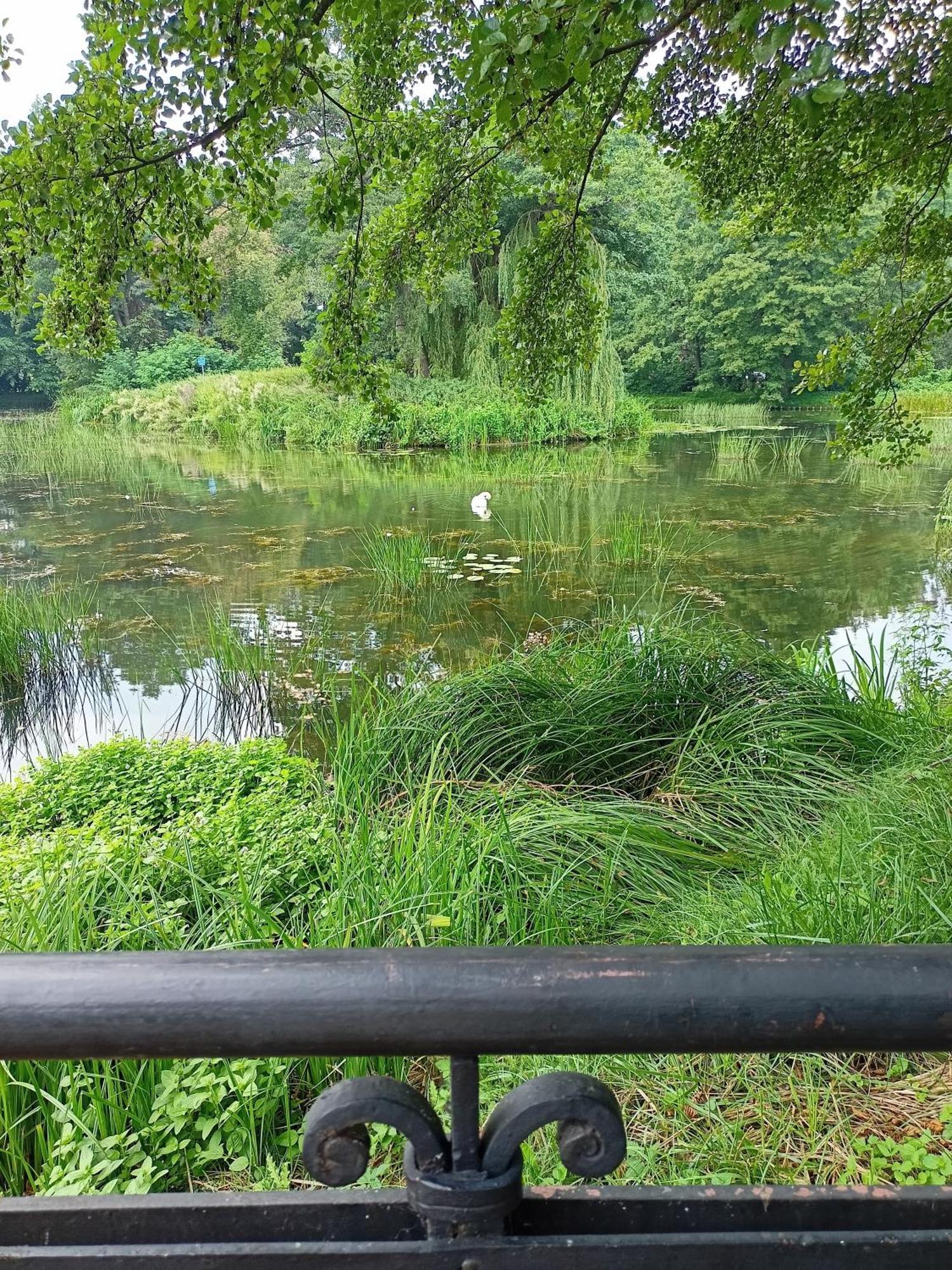 ,,Zielona Przystan Nad Morzem" Gdansk - Przymorze公寓 外观 照片